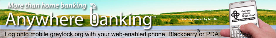 Capital Region Advertising, Capital Region Internet Advertising, Advertising For Capital Region, Capital Region, NY Advertising